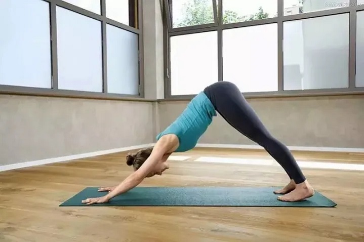 yoga Nedadgående hundestilling